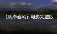 《桃李春风》电影完整版免费在线观看